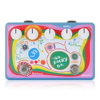 Aclam Guitars - Dr. Robert v2 ☆コレクター放出☆ACLAM Dr. Robert