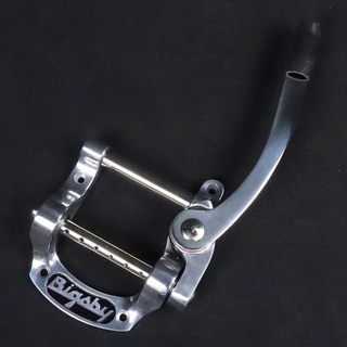 Bigsby、B5の検索結果【楽器検索デジマート】