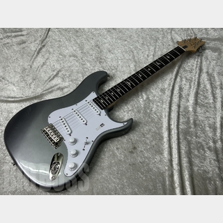 Paul Reed Smith(PRS) SILVER SKY (Tungsten / Rosewood)