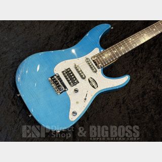 エレキギター、SCHECTERの検索結果【楽器検索デジマート】