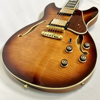 エレクトリックギター ＞ セミアコ、Ibanezの検索結果【楽器検索