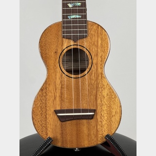 G-Labo CTM G-ORDER -Avalon-DISH1 SM15F