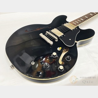 エレクトリックギター ＞ セミアコ、Epiphone、DOTの検索結果【楽器