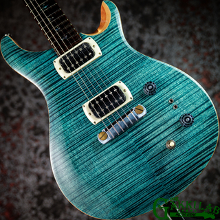 Paul Reed Smith(PRS)、SE Paul's Guitarの検索結果【楽器検索デジマート】