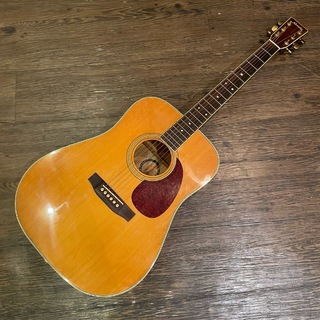 Alvarezの検索結果【楽器検索デジマート】
