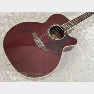Takamine DMP551C WR