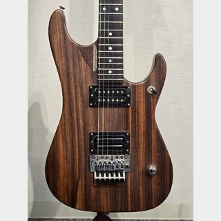 Washburn エレキギター ソフトケース付き エレキギター、Washburnの検索結果【楽器検索デジマート】