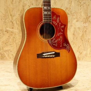 Gibson Hummingbird CSB