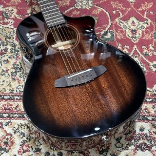 Breedloveの検索結果【楽器検索デジマート】