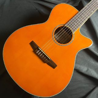 Ibanez AEG10NII