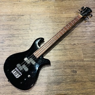 エレクトリック・ベース ＞ 変形タイプの検索結果【楽器検索デジマート】