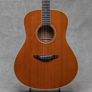 アコースティックギター／エレクトリック・アコースティックギター