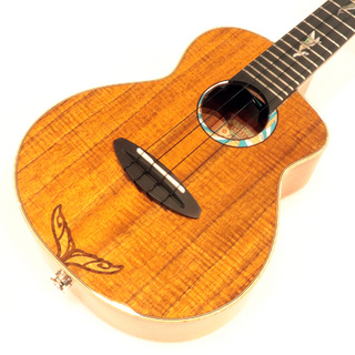 aNueNue KYAS Signature Model aNN-KWhale2 E