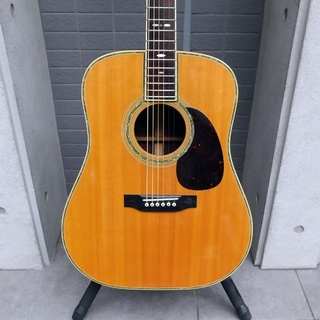 アコースティックギター／エレクトリック・アコースティックギター