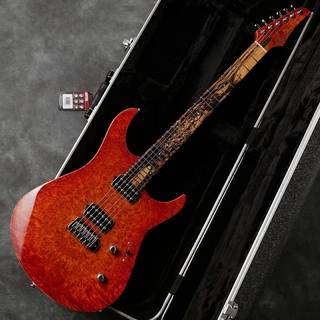 Koca GuitarsLight,6Strings【中古】【USED】