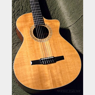 Taylor NS32ce w/ES-N -2010USED!!-【48回迄金利0%対象】