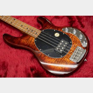 Sterling by MUSIC MAN RAY34 Roasted Maple #SR38733 4.36kg【横浜店】