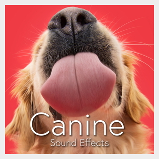 SOUND IDEAS CANINE SOUND PACK