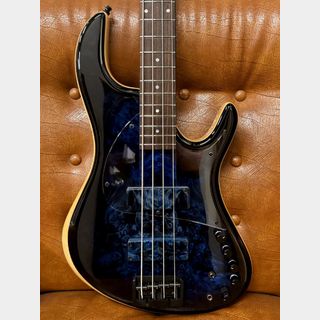 AST Basses and Guitars Vintage 22 4strings 