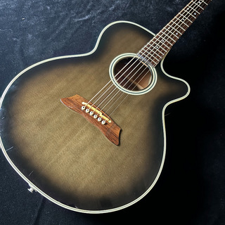 Takamine 【中古】Takamine/タカミネ PT106