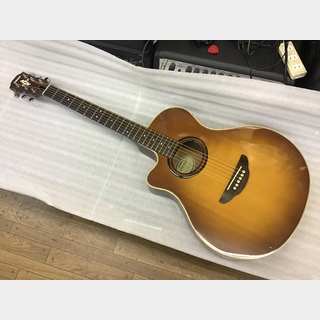 エレクトリック・アコースティックギターの検索結果【楽器検索デジマート】