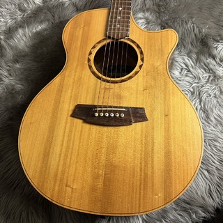 アコースティックギター／エレクトリック・アコースティックギター