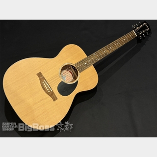 Eastman PCH1-OM