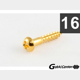 ALLPARTSPack of 16 Long Gold Machine Head Screws/7502