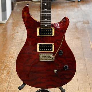 Paul Reed Smith(PRS) SE Custom 24