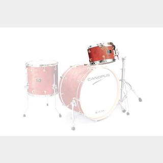 canopus CANOPUS R.F.M. 10x14 Tom Vermilion Oil