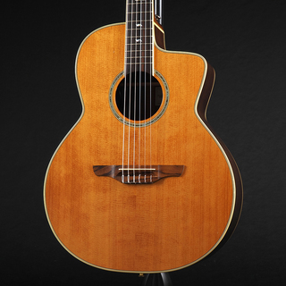 アコースティックギター／エレクトリック・アコースティックギター