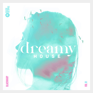 BLACK OCTOPUS DREAMY HOUSE VOL.1