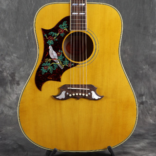 アコースティックギター、レフティの検索結果【楽器検索デジマート】