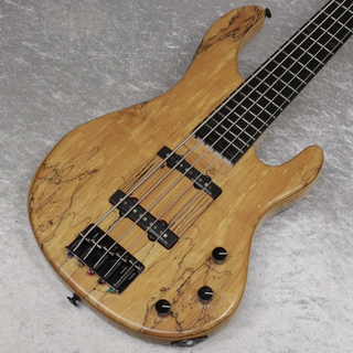 STRLS Spalted Maple Top 5st【新宿店】
