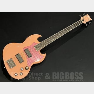 エレクトリック・ベース ＞ 変形タイプの検索結果【楽器検索デジマート】