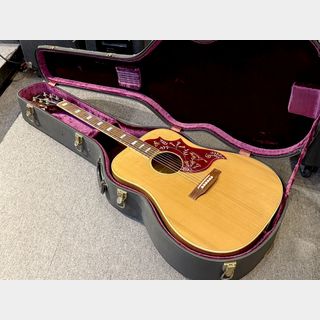 アコースティックギター、Gibson、Humming Birdの検索結果【楽器検索