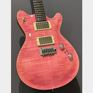 エレクトリックギター、T's Guitarsの検索結果【楽器検索デジマート】
