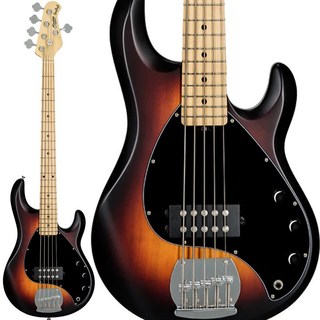 Sterling by MUSIC MANS.U.B. Series Ray5 (Vintage Sunburst Satin/Maple) 【特価】