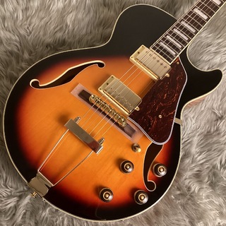 エレクトリックギター ＞ フルアコ、Ibanezの検索結果【楽器検索