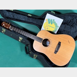 アコースティックギター／エレクトリック・アコースティック