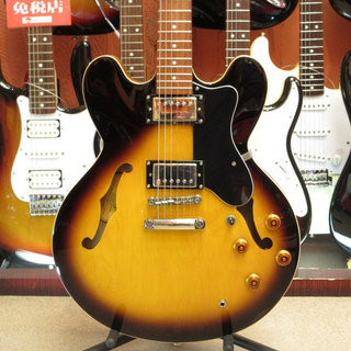 エレクトリックギター ＞ セミアコ、Epiphone、DOTの検索結果【楽器