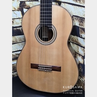 クラシック・ギター／フラメンコ・ギター【楽器検索デジマート】
