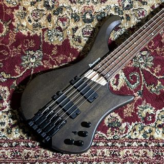 Ibanez EHB605 Walnut Flat【現物写真】