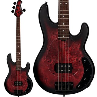 Sterling by MUSIC MAN 【12月28日入荷予定、ご予約受付中】 RAY34 Poplar Burl(Dark Scarlet Burst Satin)