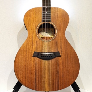 Taylor Academy 22e 【生産完了品】