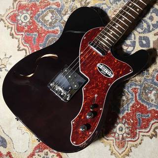 エレクトリックギター ＞ TLタイプ、schecterの検索結果【楽器検索