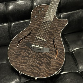 Taylor、T5zの検索結果【楽器検索デジマート】