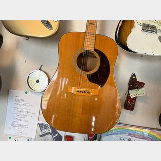 アコースティックギター／エレクトリック・アコースティックギター