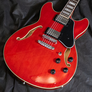 エレクトリックギター、Ibanez、セミアコの検索結果【楽器検索デジマート】