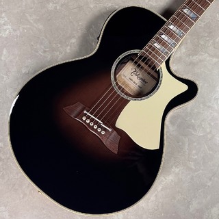 Takamine TSP10CS【630mmスケール】【現物画像】